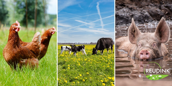 Biologisch header 2048 1024 px - Van Triest CirQlar is onderdeel van ForFarmers Nederland B.V
