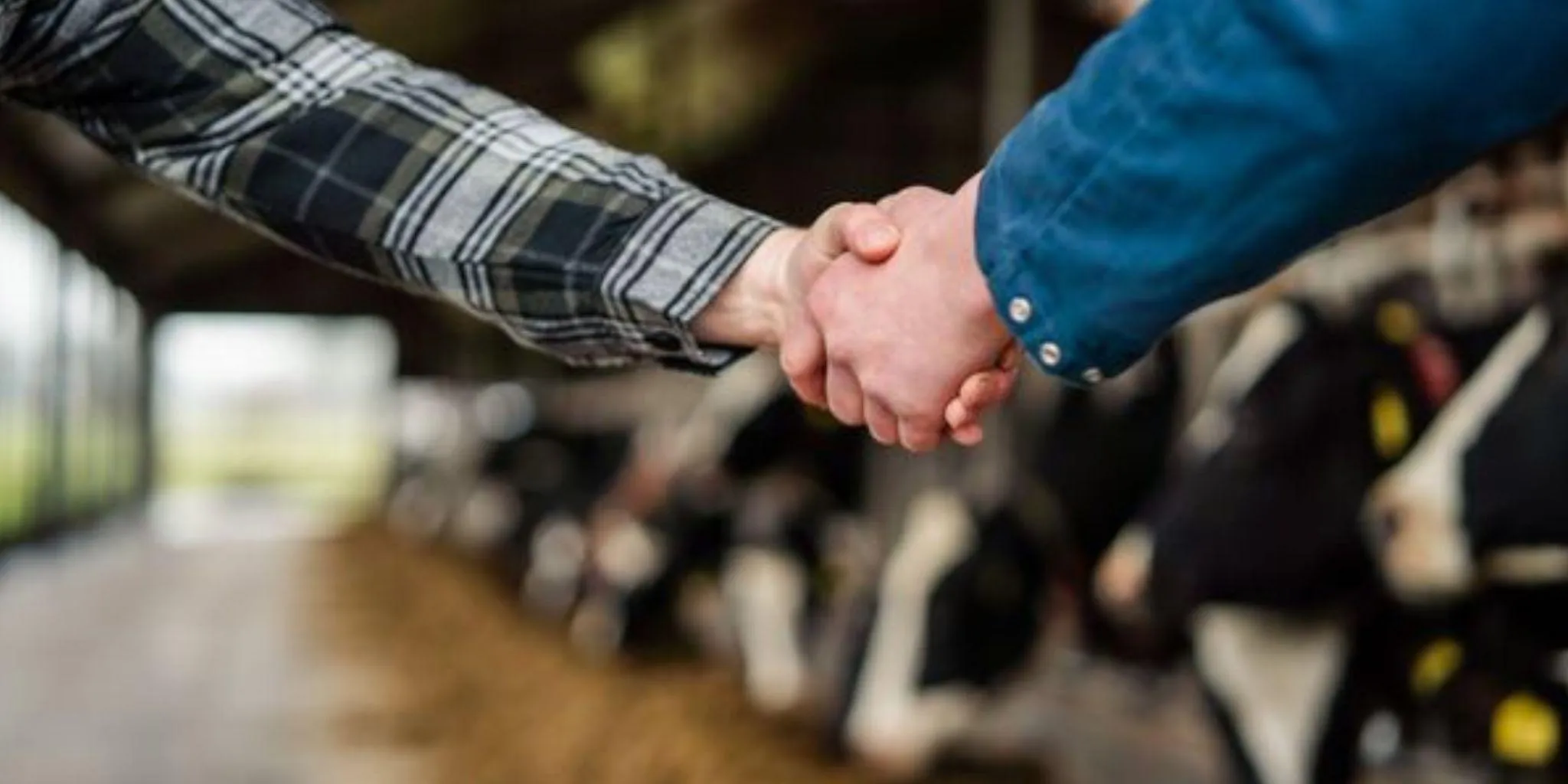 Vision Header 2048 1024 px - ForFarmers team agrar
