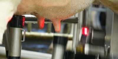 Robot milking 2048 1024 px 1 - ForFarmers team agrar