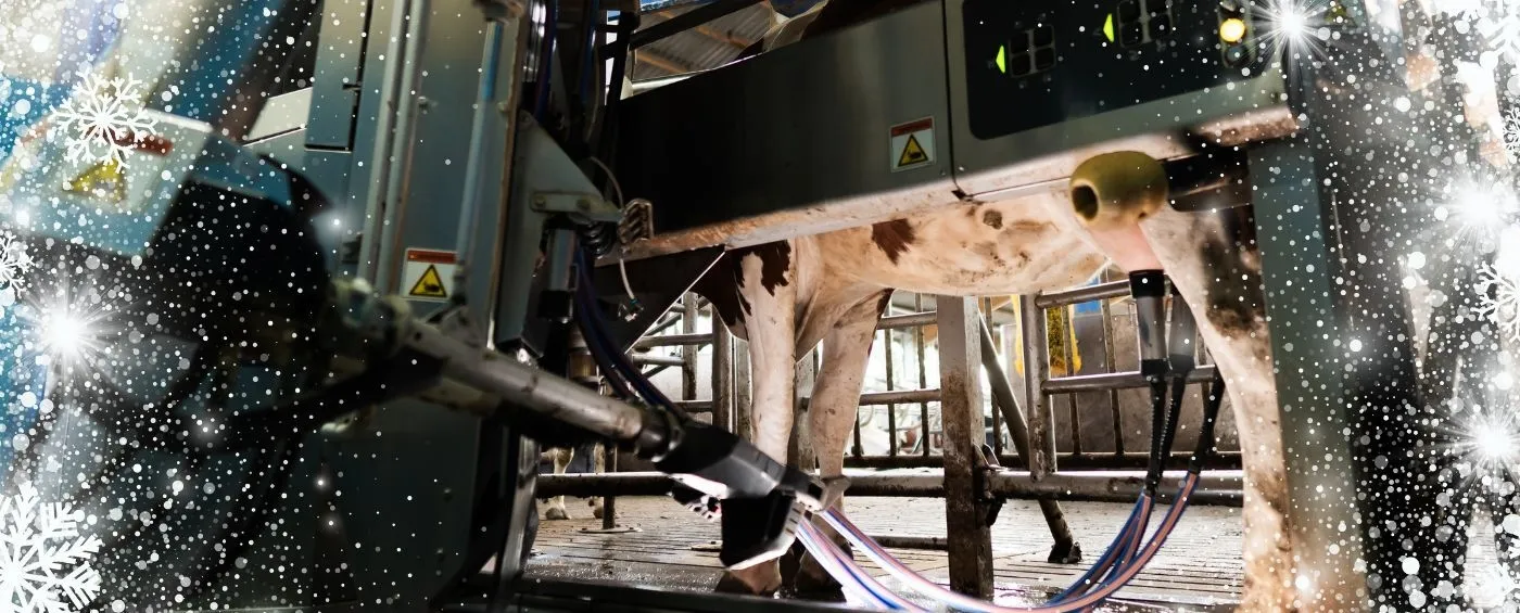 Melkroboter Winter Header - ForFarmers team agrar