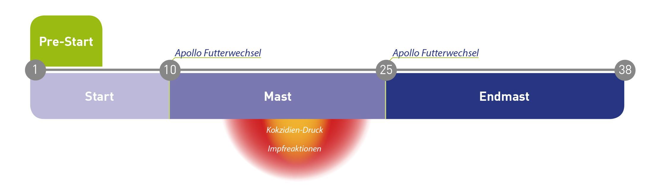 Intelligente Futterwechsel