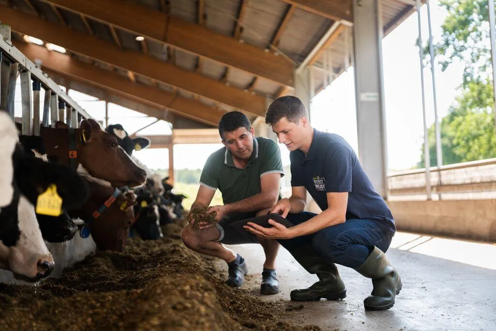 Beratung Roboteranalyseprogramm - ForFarmers Thesing