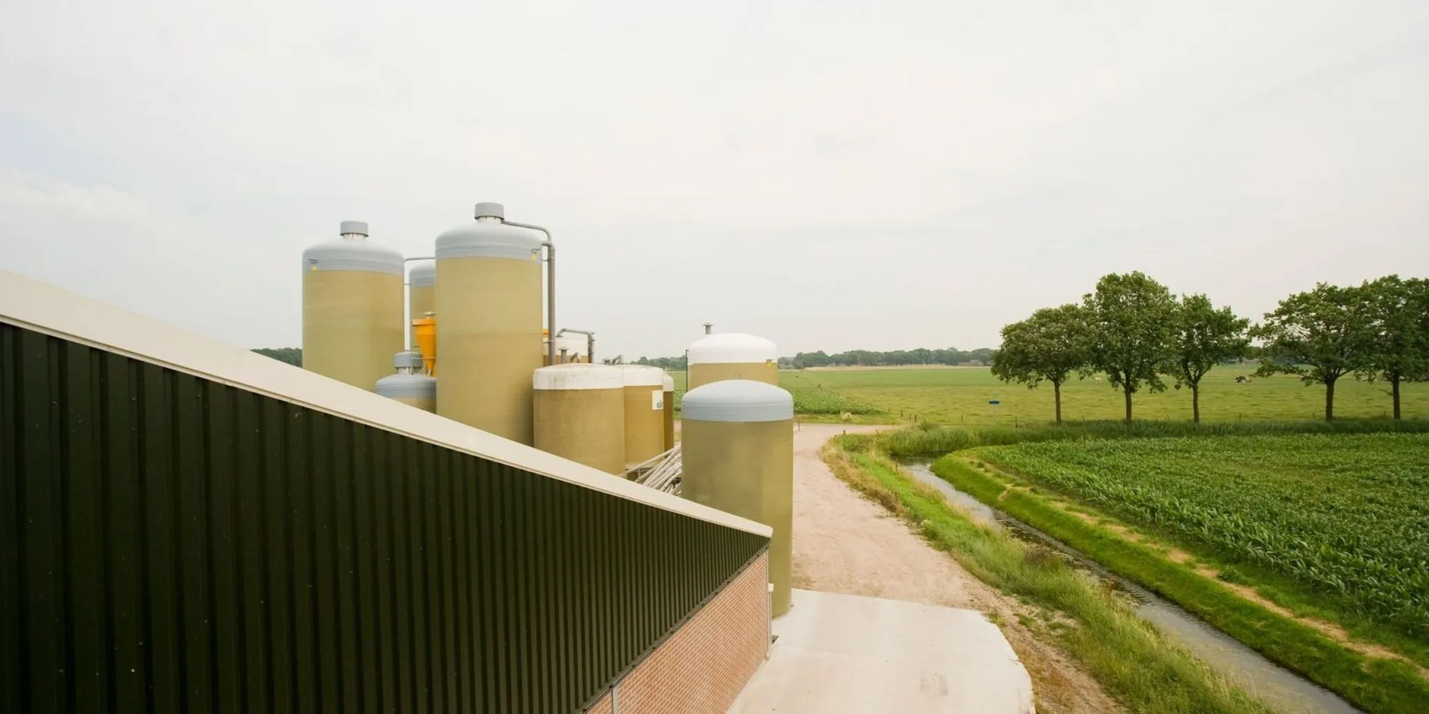 Eigene Mischungen Header 2048 1024 px - ForFarmers team agrar