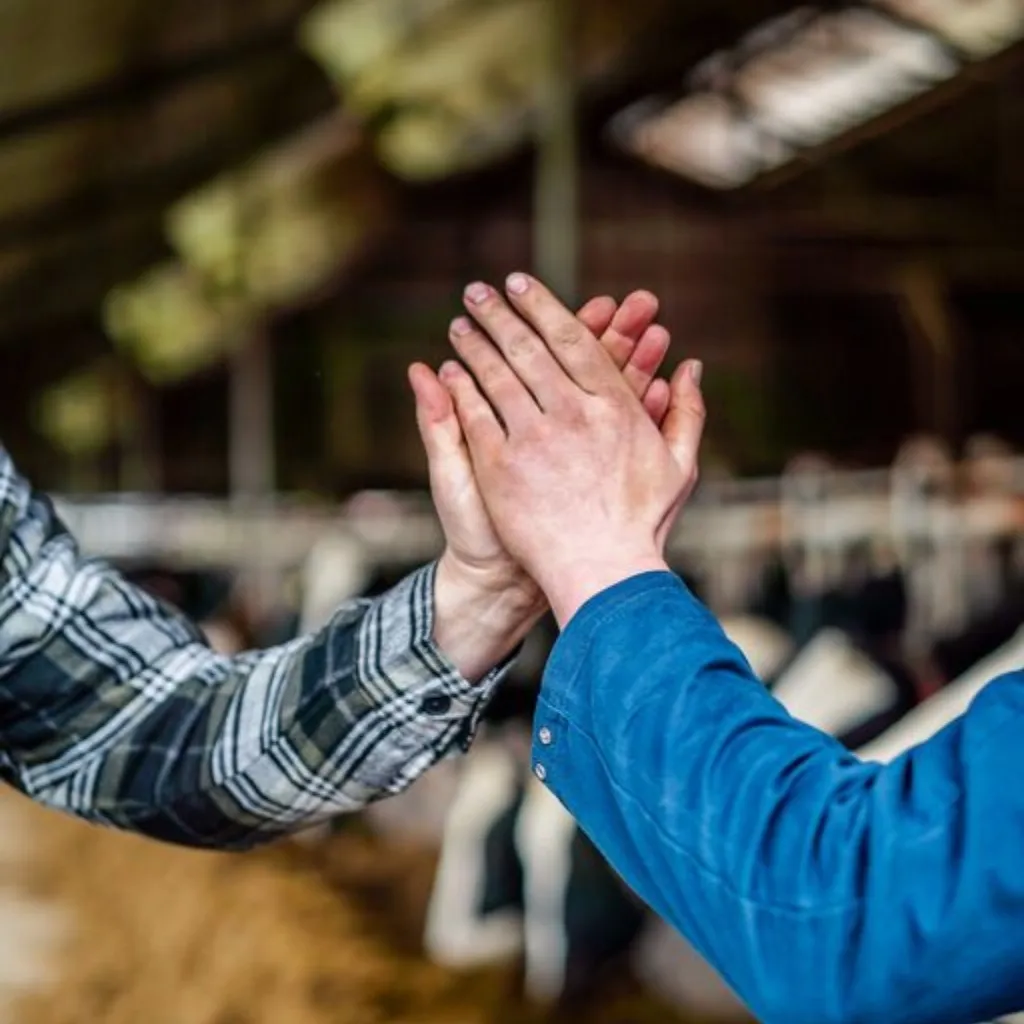 High five by 2 or more images 1024 1024 px 1 - Werken bij ForFarmers