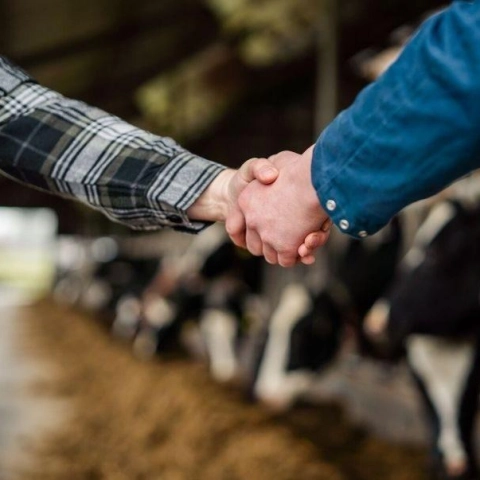 FF 2 - Werken bij ForFarmers